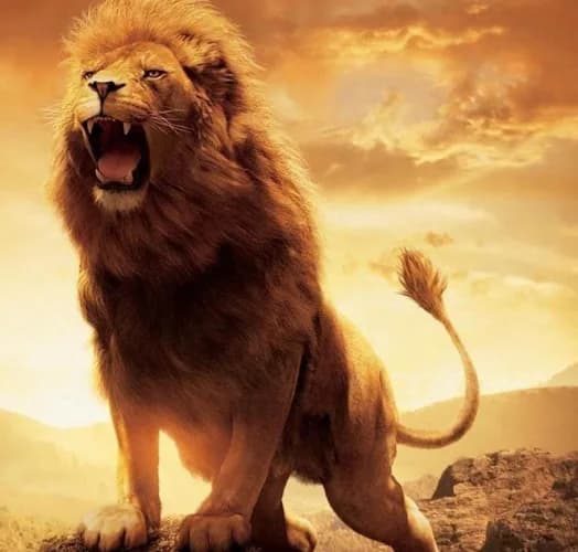 Roaring lion